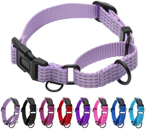 Martingale Dog Collar, Reflective No Pull,Lavender, XS