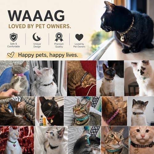 Breakaway Cat Collar with Bell for Kittens & Cats