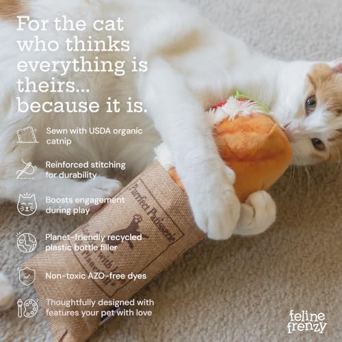 P.L.A.Y. Cute Cat Toys - Feline Frenzy Interactive Kicker Toy, Sandwich Food Themed Catnip Filled Toy, Great for Adult Cats and Kittens - Double Stitched, Recycled Materials, Crinkles (Tuna Baguette)