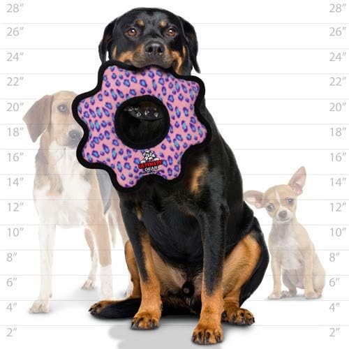 TUFFY® 2 Pack Ultimate Gear Ring Ultra Durable Plush Dog Toy