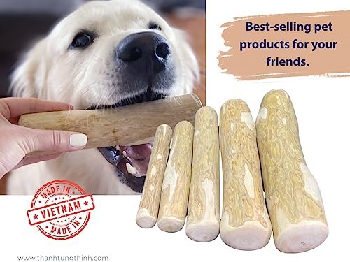 Coffee Wood Dog Chew Stick - Coffee Wood Stick for Your Pets - Non Toxic - Safe - Puppy Chew Toy for Teething - Made in Vietnam - 1 Pack/2 Pieces (Small)