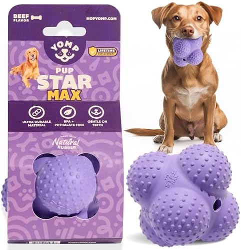 Yomp PupStar MAX Dog Toy – Star-Shaped, Bouncing Ball with Nubbins for Dental Health, Dishwasher Safe, Fun Bounce Path, Made of Non-Toxic, All-Natural Rubber