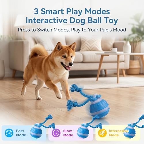 Interactive Dog Toys Automatic Rolling Ball with Rope Blue