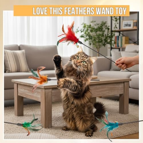 Leitee 50 Pcs Cat Feather Toy Wand Bulk Interactive Stick, Multi-Color