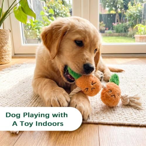 Orange Carrot Dog Rope Toy, Squeaky Plush Tug for Small Medium Dogs