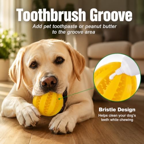 GASHIK Dog Treat Ball for Dogs, Rubber Dental Chew Toy for Dogs