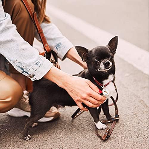 QR Code Dog Tag Personalized Pet Id Silent Cat Tags Engraved Name Plate with Online Profile («Funny Dog»)