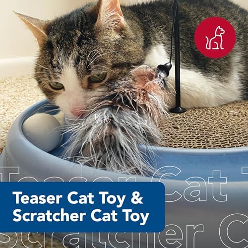 Coastal Pet - Turbo Pet Cat Bundle - Teaser Cat Toy & Scratcher Cat Toy