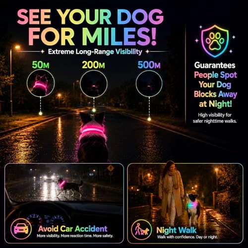 Multicolor LED Dog Collar USB-C Rechargeable, Light Up Dog Collar, Rainbow Gradient Glowing Dog Collar with 4 Light Modes, Adjustable Candy Mesh Pet Collar(Pink, Medium)