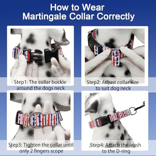 American Flag Martingale Dog Collar 4th of July Patriotic, Small