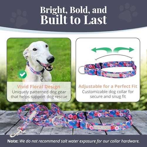 Lucky Love Dog Martingale Collar & Leash Set No Slip Cute – Zuzu, Medium