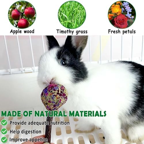 kathson 20PCS Rabbit Timothy Hay Treats Sticks,Interactive Bunny Lollipop Chew Sticks,Natural Guinea Pigs Chewing Treats Molar Teeth Toys for Small Animals,Chinchilla,Hamster,Gerbil