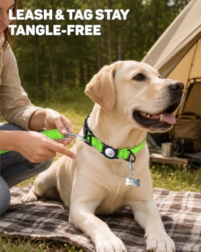 Padded Dog Collar with Waterproof Holder Compatible with Airtag