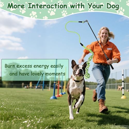 Flirt Pole for Dogs Heavy Duty, Interactive Chase & Tug of War Wand
