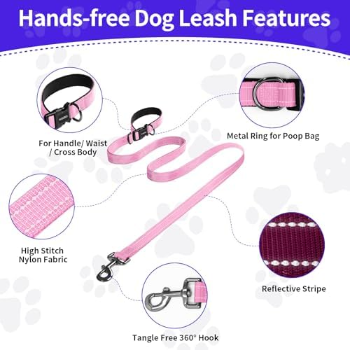 Puppy Dog Collar & Hands-Free Dog Leash Adjustable Length 5-8 Ft Adjustable Nylon Collar with Quick-Release Buckle
