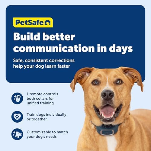 PetSafe Add-A-Dog Remote Training Collar – Perfect for Small, Medium and Large Dogs – Choose from Tone, Vibration, or 15 Levels of Static Stimulation – Waterproof and Durable – Rechargeable