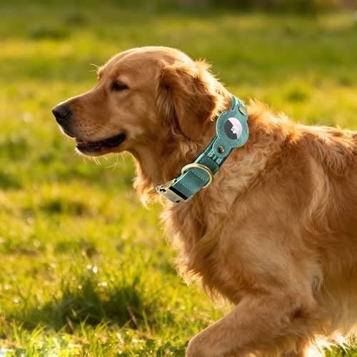 Airtag Dog Collar, Reflective Collar w Airtag Holder for Large Dogs(Green)