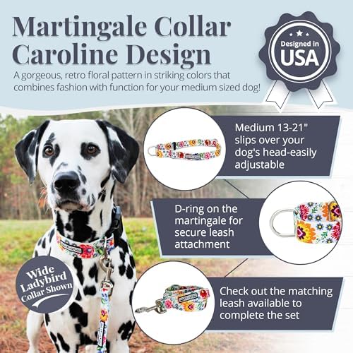 Lucky Love Dog Martingale Collar for Medium Dogs No Slip – Ladybird, Medium