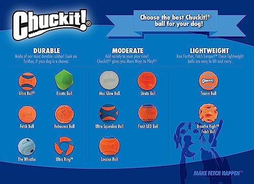 Chuckit! Medium Fetch Ball 2.5", 2 Pack (Colors Vary)