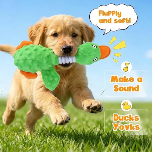 Squeaky Dog Toys for Aggressive Chewers, Durable Stuffed Animal Plush Dog Toy with Soft Fabric for Large, Medium & Small Dogs, Interactive Puppy Chew Toy for Teething, Crinkle Duck Dog Toy - Green
