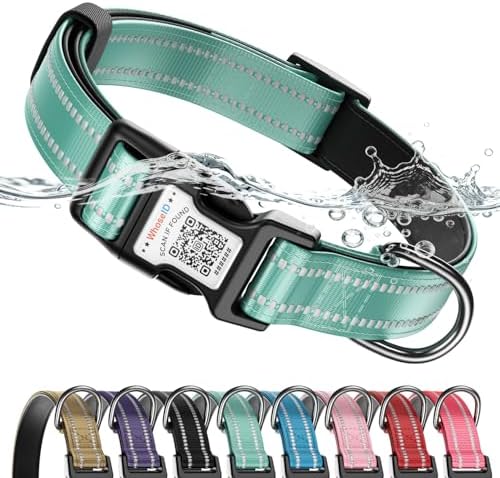 Dog Collar for Small Medium Large Dogs