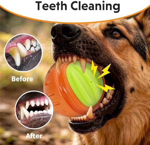 LaRoo Durable Squeaky Dog Ball, 3 Inch TPR Chew Ball Toy for Medium Dogs