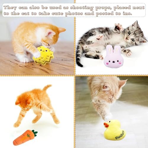 Mini Cat Catnip Toys for Indoor Cats 10 Pack