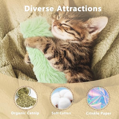 3 Pack Catnip Toys,Soft and Durable Cat Pillows Toys, Funny cat Toy