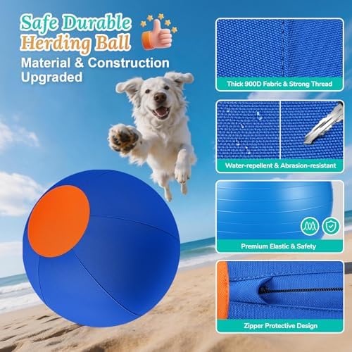 Herding Ball for Dogs Large for Australian Shepherd, Blue-Orange, M