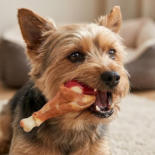 Dog Chew Toy Realistic Chicken Leg for Medium Large Dogs