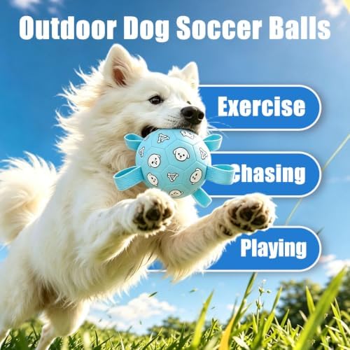 Dog Soccer Ball with Straps, 6 Inch Jolly Ball for Medium Dogs
