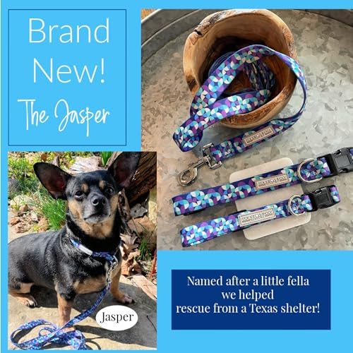Lucky Love Dog Martingale Collar & Leash Set No Slip Cute – Jasper, Small