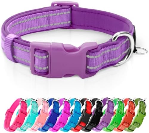 azuza Reflective Dog Collar, Neoprene Padded Puppy Collar, Purple, XS
