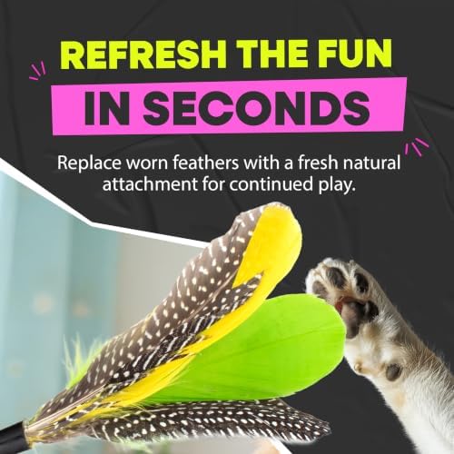 Jackson Galaxy Gotcha! Feather Wand Attachment, Cat Toy Refill
