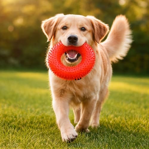 Squeaky Spiky Dog Ring Toy for Teeth Cleaning & Gum Massage 4.9 Inch Medium Large Dogs Red | Spiny TPR Rubber Chew Toy for Fetch Play Interactive Bouncy Dental Ring Durable BPA Free Nontoxic Floats