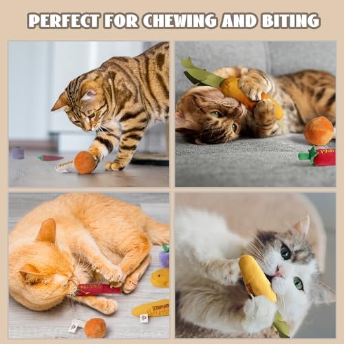 Pawsible 5 Pack Catnip Toys for Indoor Cats - 100% Organic Catnip Filled, No Cotton, Durable Teething Kicker Toys for Kittens, Food-Shaped Plush Chew Toys