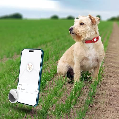 AirTag Dog Collar - Genuine Leather Dog Collar with Apple AirTag Holder and Metal Buckle - Smart GPS Tracking Pet Collars (Red, M, 14"-18" Neck Fit)