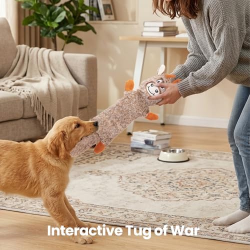 HGB Squeaky Crinkle Dog Toys for Puppies Small Medium Dogs