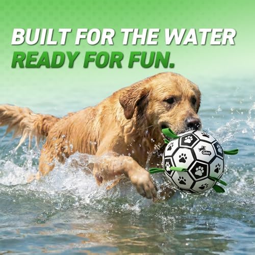 QDAN Dog Toys for Small Medium Puppy, Soccer Ball for Dogs with Straps