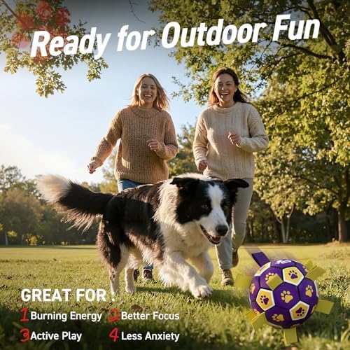 QDAN Dog Balls Toys, Soccer Ball with Straps, Herding Ball Toy, Puppy Toy | 6 Inch Puppy Water Pool Toy, Durable Balls for Dogs for 20-40 lbs Dog, Outdoor Herding Balls for Small Medium Dogs