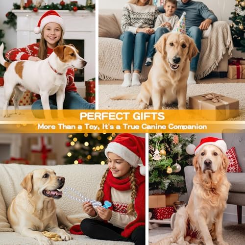 Dog Chew Toys for Aggressive Chewers, Multiple Textures & Rope, ndestructible Tough Durable Interactive Dog Toys, Puppy Chew Toys for Teething， Blue Bone