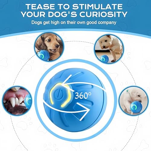 Interactive Dog Ball Toy for Small Dogs & Puppies, Blue