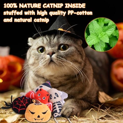 FOIMAS Halloween Catnip Toys,Pumpkin Ghost Catnip Toy Chew Bite Toy for Cat Interactive, Pack of 6