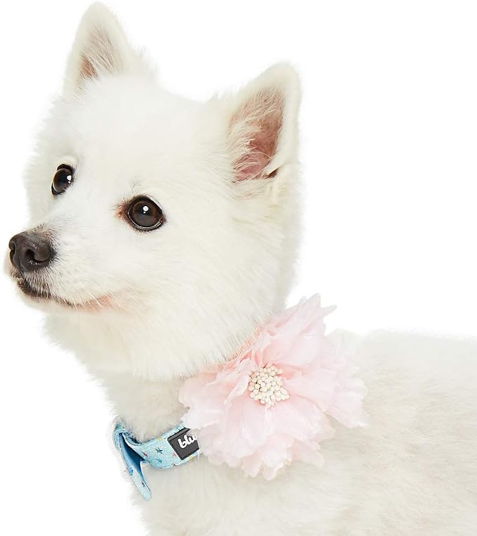 Blueberry Pet The Most Coveted Holo Glitter Dog Collar with Flower