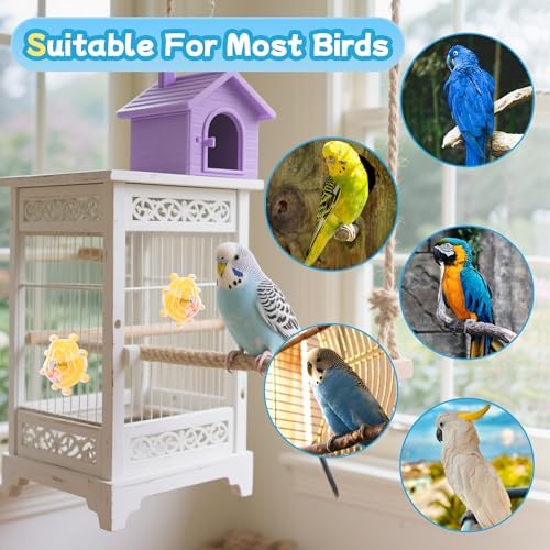 2 Colors Bird Toys for Parrots, Small Bird Cage Toys with Spinning Rattle