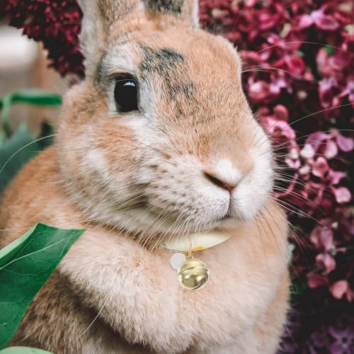 2pcs Fashion Rabbit Choker Adjustable PET Collar with Safety Cloth