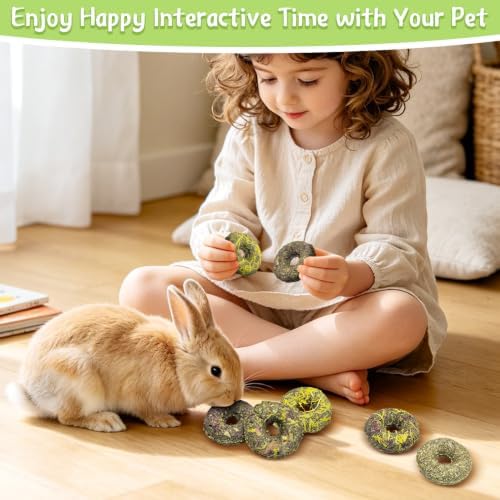 Fhiny 10 PCS Rabbit Chew Toys, Rabbit Treats with Natural Grass and Flowers, Pet Molar Grass Cakes for Guinea Pigs, Chinchillas, Hamsters and Other Small Rodents