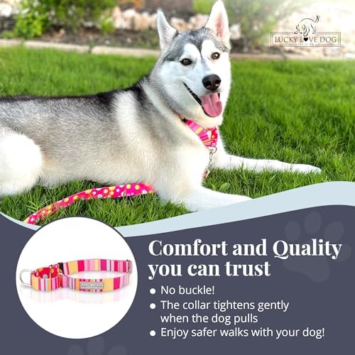 Lucky Love Dog Martingale Collar for Medium Dogs No Slip – Molly, Medium