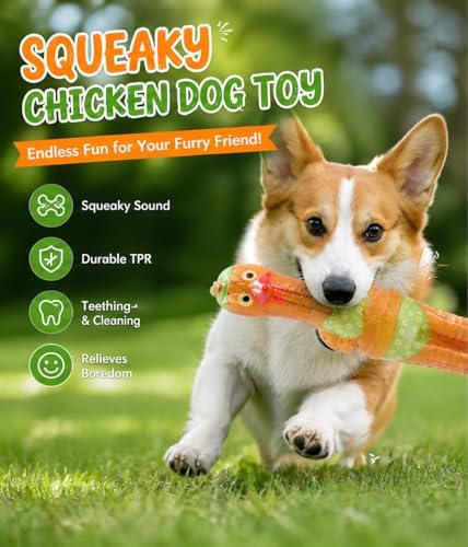 Molaxpet Squeaky Dog Toy Chicken Design with Funny Swimming Suit Chew Toy