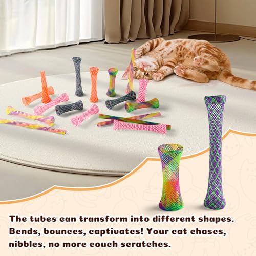 Cat Spring Toys, Cat or Kitten Colorful Spring Tube Toy 60 Pack